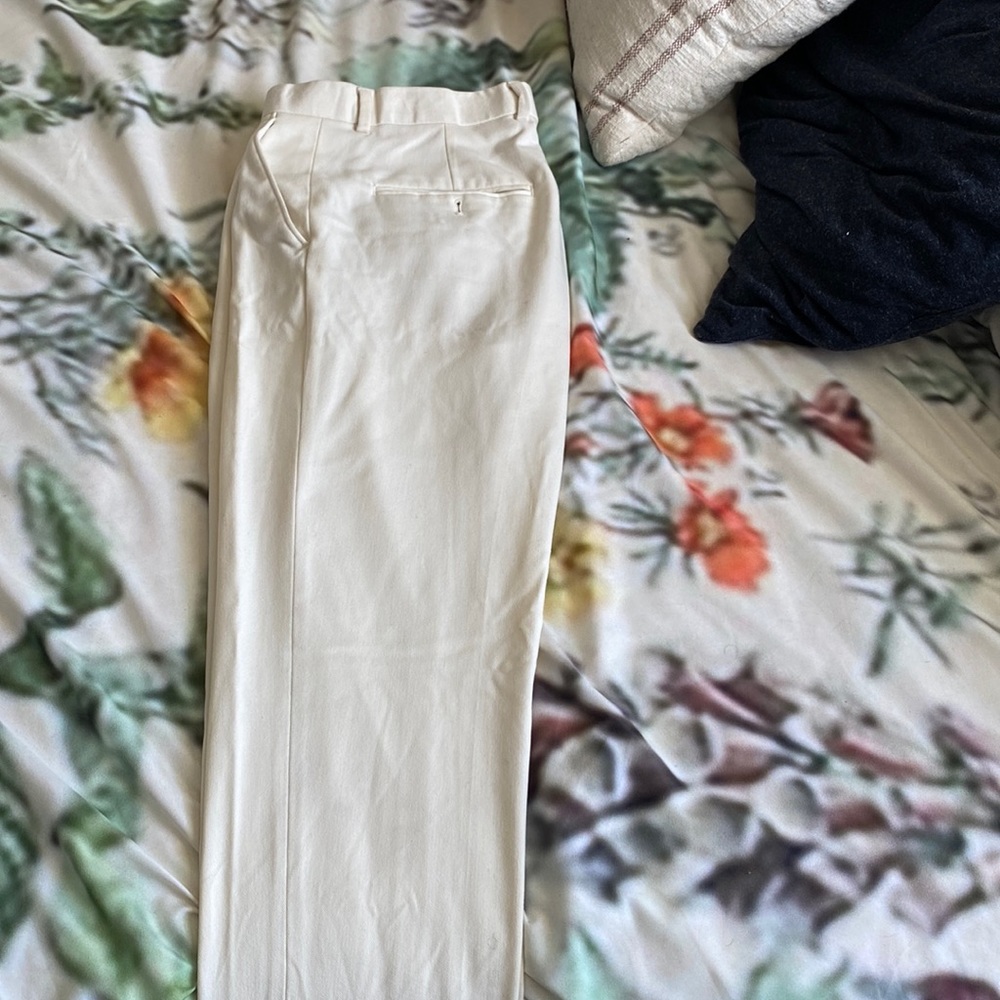 Mens Zara pants Size 30